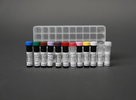 Custom Conjugation Guide - Premium Geometric Illustration Gallery - 4K